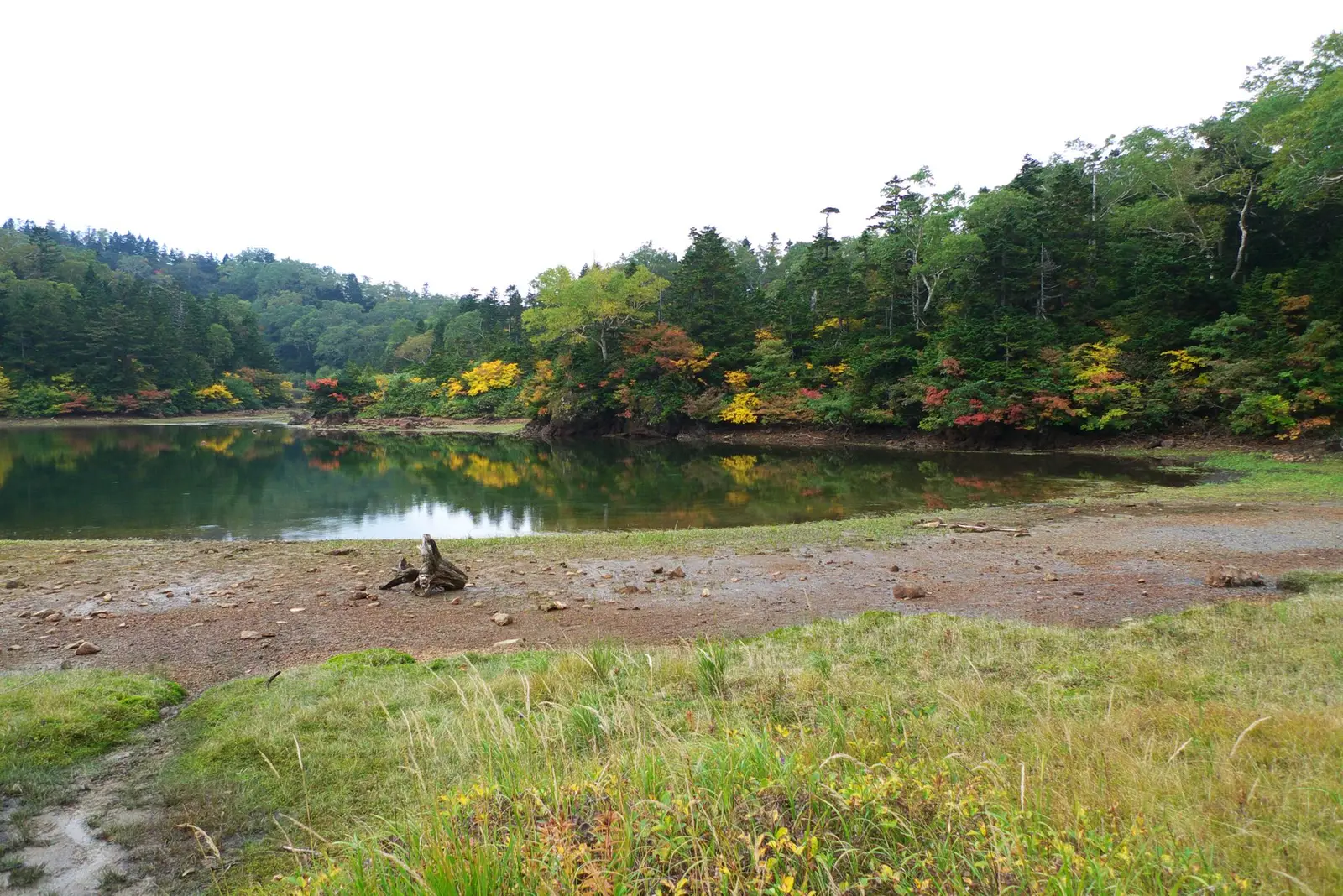 八幡平・小和瀬湖の紅葉風景（施設周辺の景観）