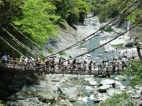 祖谷のかずら橋（渓谷にかかる蔓橋）