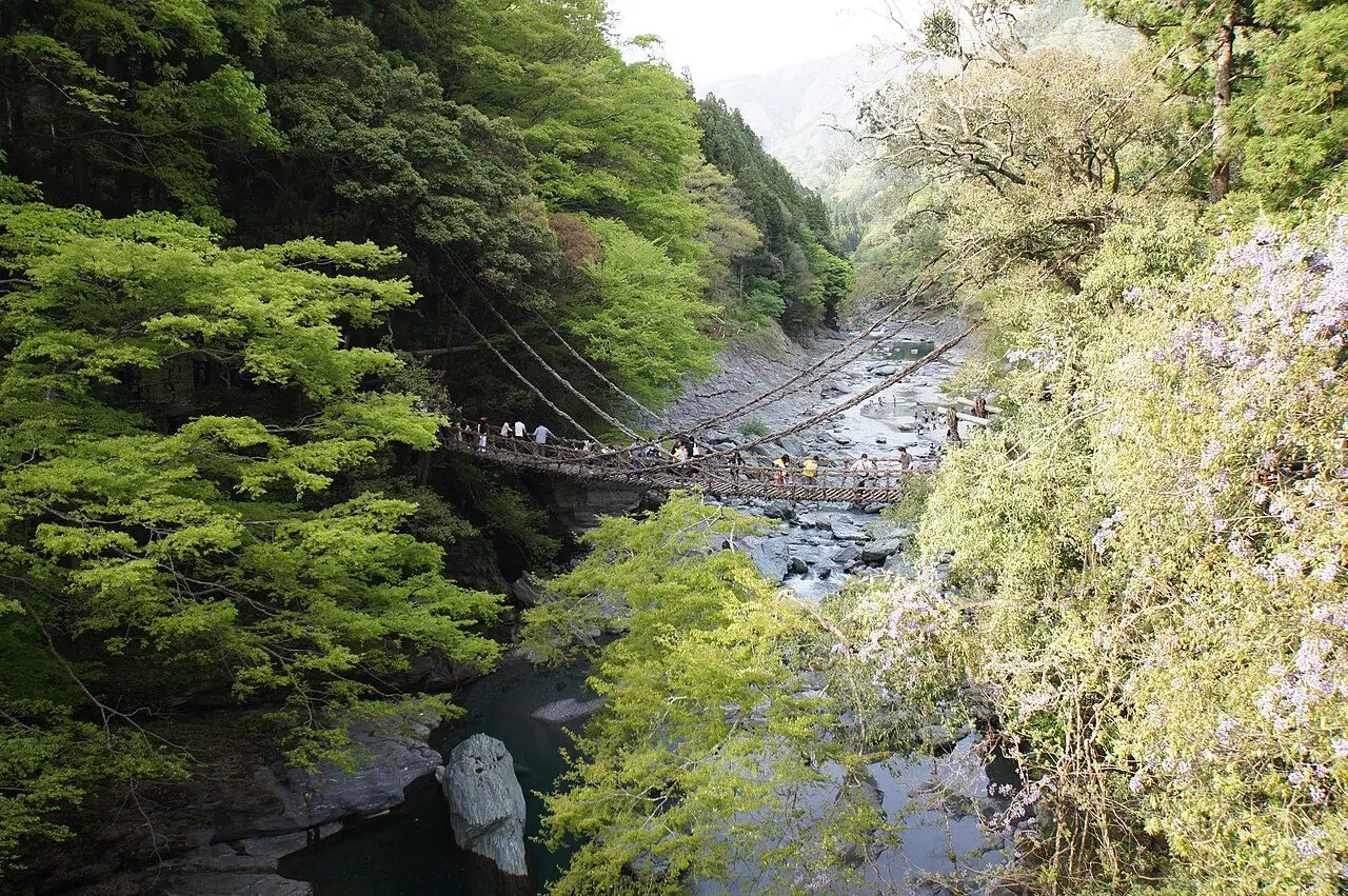 祖谷のかずら橋（別アングル）