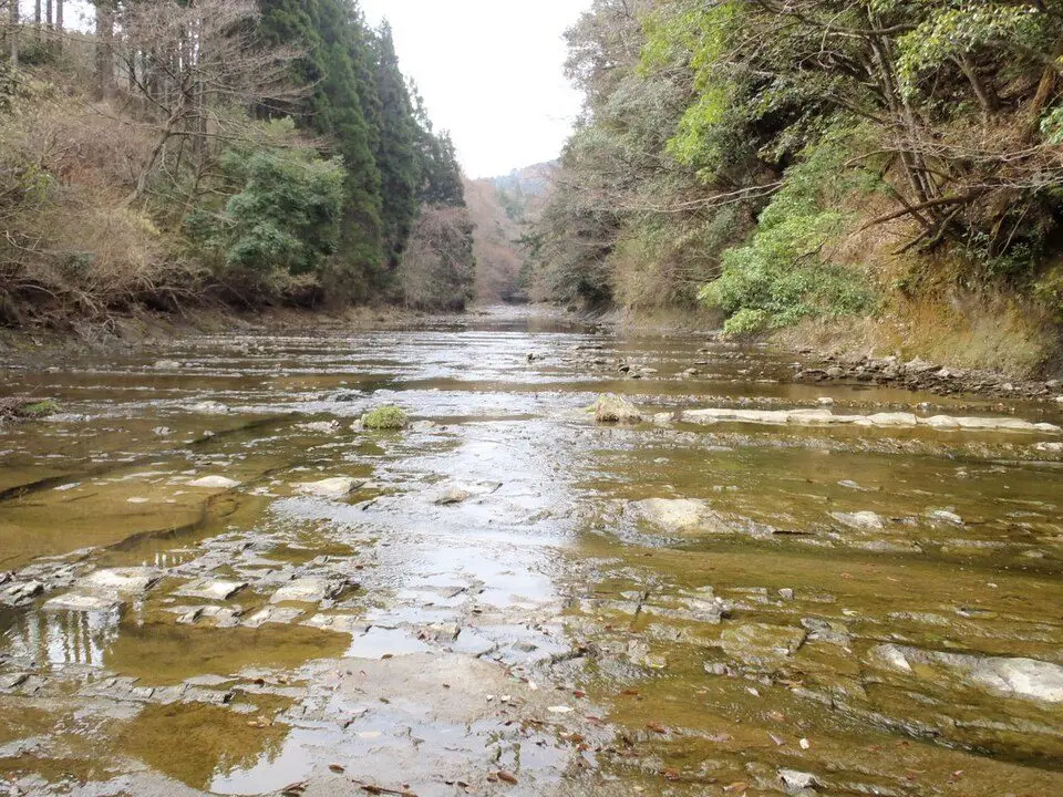 君津市を流れる小櫃川（七里川温泉とは別地点、周辺の里山風景）