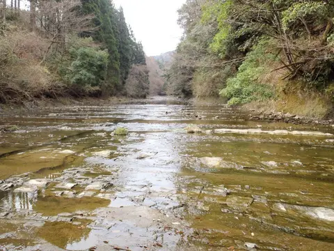 君津市を流れる小櫃川（七里川温泉とは別地点、周辺の里山風景）