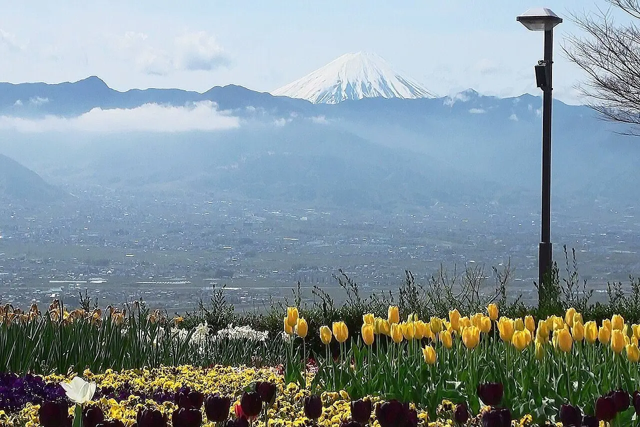 笛吹川フルーツ公園から望む甲府盆地と富士山